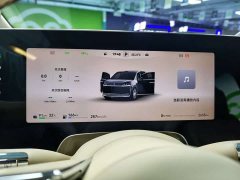 Luxeed Zhiji V9 Max - ფოტო 12
