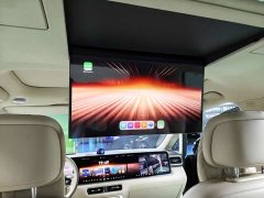 Luxeed Zhiji V9 Max - ფოტო 15