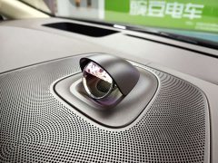 Luxeed Zhiji V9 Max - ფოტო 16