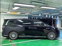 Luxeed Zhiji V9 Max - ფოტო 6