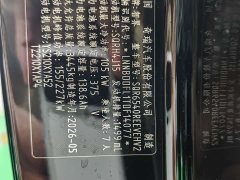 Luxeed Zhiji V9 Max - ფოტო 9