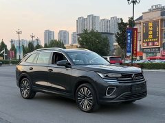 Volkswagen Lanhun 330TSI Luxury Edition - ფოტო 3