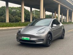 Tesla Model Y Rear-Wheel Drive - ფოტო 1