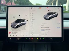 Tesla Model Y Rear-Wheel Drive - ფოტო 11