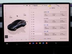 Tesla Model 3 2025 Long Range Rear-Wheel Drive - ფოტო 7