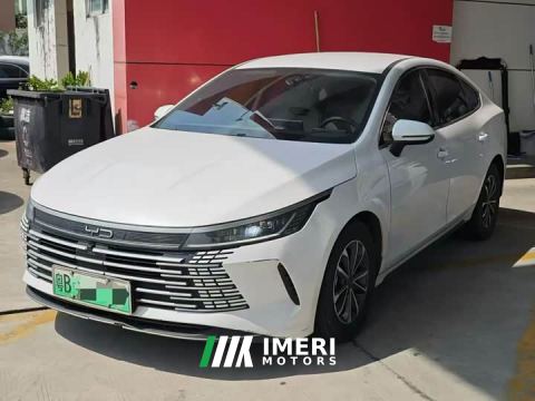 2024 BYD Destroyer 05 Glory Edition DM-i 55KM Luxury