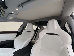 Tesla Model 3 High Performance All-Wheel Drive - ფოტო 7