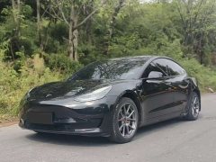 Tesla Model 3 Rear-Wheel Drive - ფოტო 1
