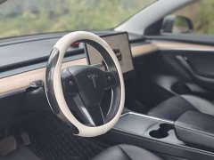 Tesla Model 3 Rear-Wheel Drive - ფოტო 3