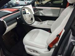 Nio Lerado L60 2024 60kWh Rear-Wheel Drive - ფოტო 5