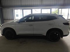 BYD Song Plus New Energy Champion Edition DM-i 150KM Flagship Plus - ფოტო 4