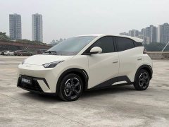 BYD Seagull Glory Edition 305km Freedom Version - ფოტო 1