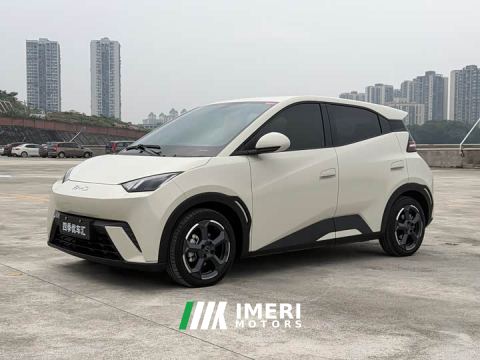 2024 BYD Seagull Glory Edition 305km Freedom Version