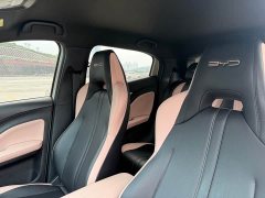 BYD Seagull Glory Edition 305km Freedom Version - ფოტო 10