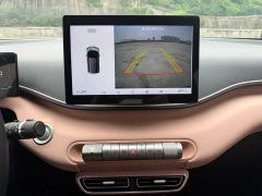 BYD Seagull Glory Edition 305km Freedom Version - ფოტო 16