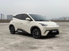 BYD Seagull Glory Edition 305km Freedom Version - ფოტო 3