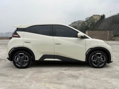 BYD Seagull Glory Edition 305km Freedom Version - ფოტო 4