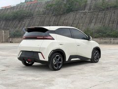 BYD Seagull Glory Edition 305km Freedom Version - ფოტო 5