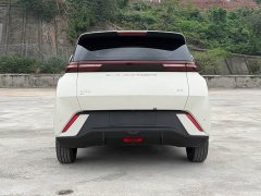 BYD Seagull Glory Edition 305km Freedom Version - ფოტო 6