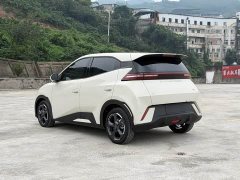 BYD Seagull Glory Edition 305km Freedom Version - ფოტო 7