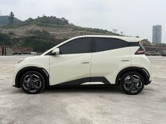 BYD Seagull Glory Edition 305km Freedom Version - ფოტო 8