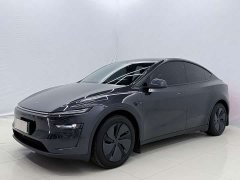 Tesla Model Y Rear-Wheel Drive - ფოტო 1