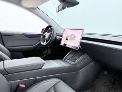 Tesla Model Y Rear-Wheel Drive - ფოტო 7