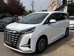 Denza BYD Denza D9 DM-i 1050 Premium - ფოტო 1