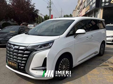 2024 Denza BYD Denza D9 DM-i 1050 Premium - ავტომობილი ჩინეთიდან