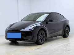 Tesla Model Y Long Range All-Wheel Drive - ფოტო 1