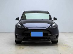 Tesla Model Y Long Range All-Wheel Drive - ფოტო 2