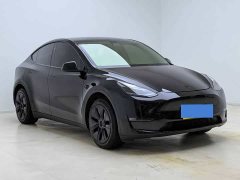 Tesla Model Y Long Range All-Wheel Drive - ფოტო 3