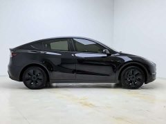 Tesla Model Y Long Range All-Wheel Drive - ფოტო 4