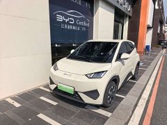 BYD Seagull 405km Flying Edition - ფოტო 1