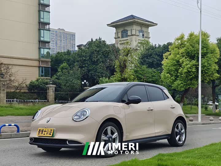 ORA Good Cat 401km Standard Range Luxury LFP - ავტომობილი ჩინეთიდან