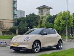 ORA Good Cat 401km Standard Range Luxury LFP - ფოტო 1