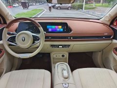 ORA Good Cat 401km Standard Range Luxury LFP - ფოტო 11