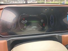 ORA Good Cat 401km Standard Range Luxury LFP - ფოტო 13