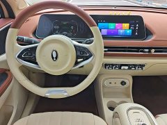 ORA Good Cat 401km Standard Range Luxury LFP - ფოტო 14