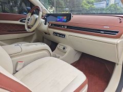 ORA Good Cat 401km Standard Range Luxury LFP - ფოტო 16
