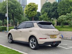 ORA Good Cat 401km Standard Range Luxury LFP - ფოტო 17