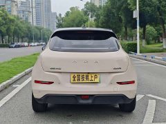 ORA Good Cat 401km Standard Range Luxury LFP - ფოტო 18