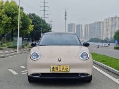 ORA Good Cat 401km Standard Range Luxury LFP - ფოტო 2