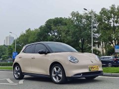 ORA Good Cat 401km Standard Range Luxury LFP - ფოტო 3