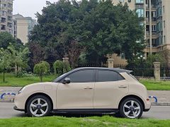 ORA Good Cat 401km Standard Range Luxury LFP - ფოტო 4
