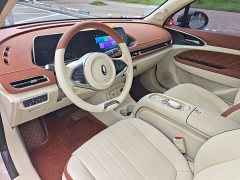 ORA Good Cat 401km Standard Range Luxury LFP - ფოტო 9