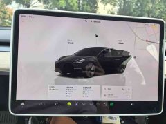 Tesla Model 3 2022 Rear-Wheel Drive - ფოტო 4
