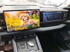 Fangchengbao Leopard 5 2023 Navigator Edition - ფოტო 12