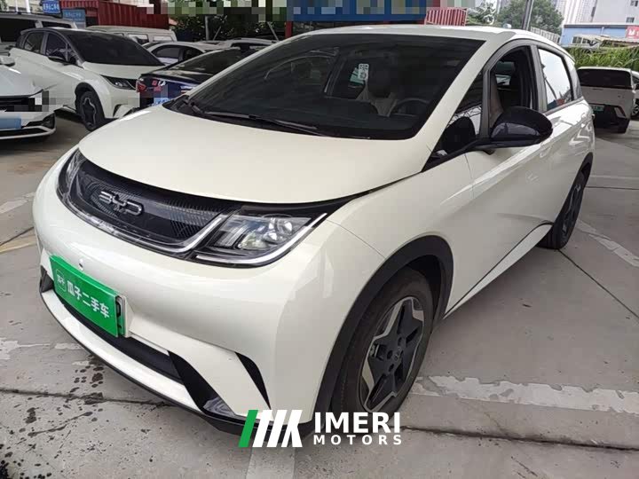 BYD Dolphin 405km Fashion Edition - ავტომობილი ჩინეთიდან