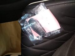 BYD Seal Champion Edition 700km Luxury - ფოტო 8